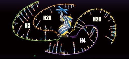 聚焦蛋白質(zhì)組學技術(shù)開發(fā)與應用，景杰生物完成5.3億元B輪融資以加速技術(shù)推廣